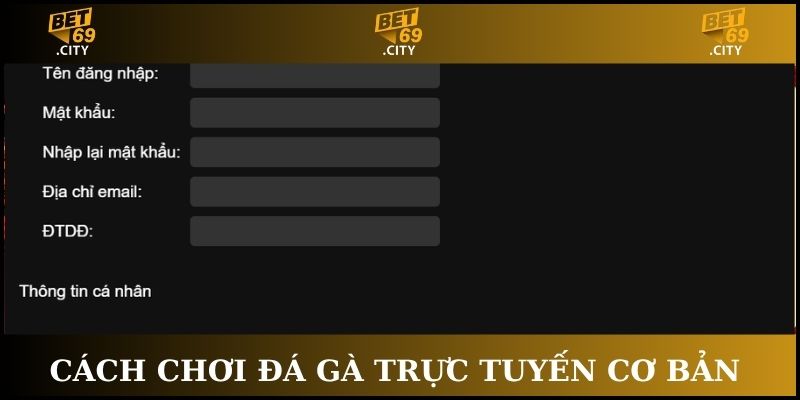 Cách chơi đá gà trực tuyến cơ bản