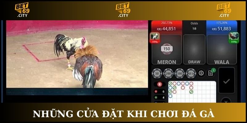 3 cửa đặt đơn giản để người chơi tham gia